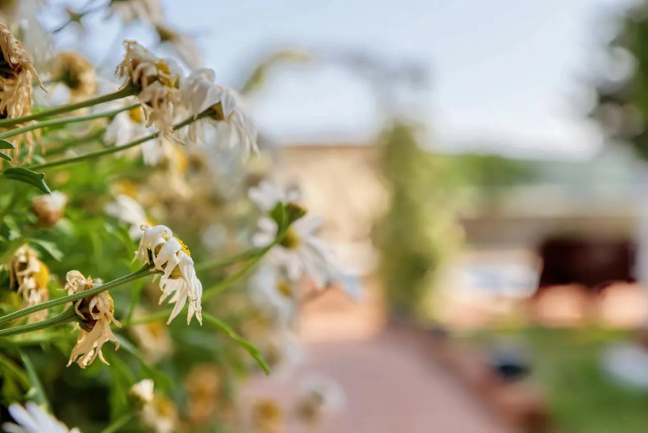 Holiday Home Giardino Marino Pomer Croacia
